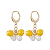 7 Pairs 7 Colors Alloy Dangle Leverback Earrings EJEW-JE05716-4