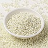 MIYUKI Round Rocailles Beads SEED-X0055-RR2021-2