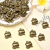 60Pcs Tibetan Style Alloy Pendants FIND-SC0018-05-3