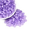 FGB Grade A Drawbench Style Glass Seed Beads SEED-Q040-02A-10-2