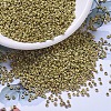 MIYUKI Round Rocailles Beads LS-X-SEED-G007-RR4512-1