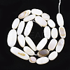 Natural Freshwater Shell Beads Strands X-SHEL-T011-03-2