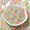 Baking Paint Glass Seed Beads SEED-P006-03A-16-2