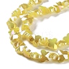 Electroplate Butterfly Glass Beads Strands EGLA-A036-08A-AB03-3