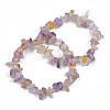 Unisex Chip Natural Ametrine Beaded Stretch Bracelets BJEW-S143-52-1