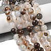 Natural Dendritic Agate Beads Strands G-A248-A07-03-1