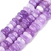 Dyed Natural Quartz Beads Strands G-N359-16A-08-2