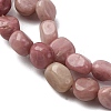 Natural Rhodonite Beads Strands G-I389-A01-4