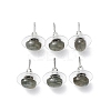 Natural Labradorite Stud Earrings for Women EJEW-E285-01P-03-1