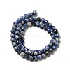 Natural Blue Spot Jasper Beads Strands G-P476-01B-02-3