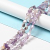 Natural Amethyst Beads Strands G-P489-05-2