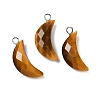 Natural Tiger Eye Pendants G-L614-D05-P04-1