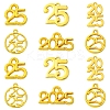 Rack Plating Alloy Pendants FIND-FS0003-48-1