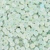 Frosted Glass Seed Beads SEED-N012-01D-3