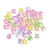 Transparent Acrylic Beads X-TACR-C002-01B-1