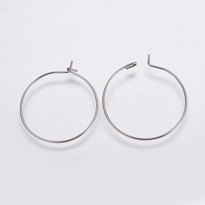316 Surgical Stainless Steel Hoop Earrings Findings X-STAS-K146-039-25mm-1