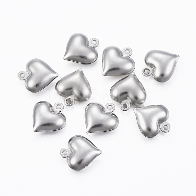 Non-Tarnish 304 Stainless Steel Charms LS-X-STAS-H413-16P-1