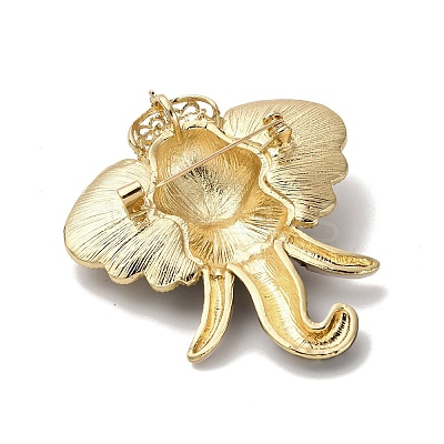 Enamel Rhinestone Brooch LS-JEWB-K027-06G-1