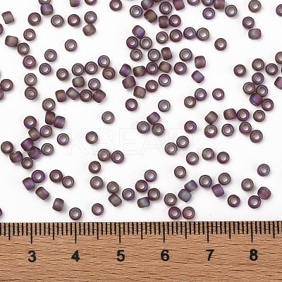 TOHO 8/0 Round Beads SEED-TR08-0166BF-1