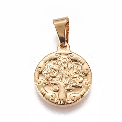 304 Stainless Steel Pendants STAS-L222-05G-1