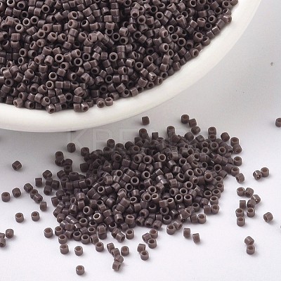 MIYUKI Delica Beads X-SEED-J020-DB0735-1