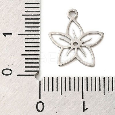 Non-Tarnish 304 Stainless Steel Charms LS-STAS-S123-01P-09-1
