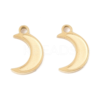 304 Stainless Steel Charms STAS-L022-546G-1
