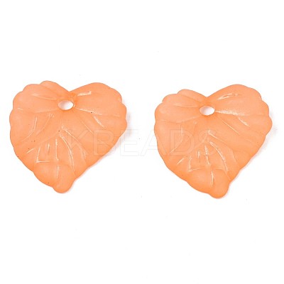 Transparent Acrylic Pendants TACR-S157-01F-1