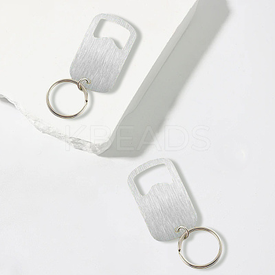 Stainless Steel Keychains AJEW-WH20077-035A-P-1