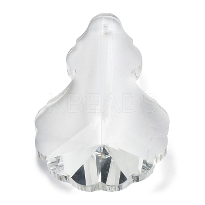 Transparent Glass Big Pendants GLAA-R223-06-1
