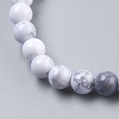 Natural Howlite Beads Strands TURQ-G091-6mm-1