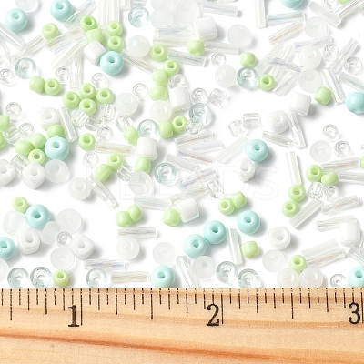 2 Sets Glass Seed Beads DIY-FS0008-27B-1
