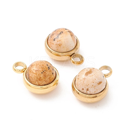Natural Picture Jasper Charms G-K325-01G-06-1