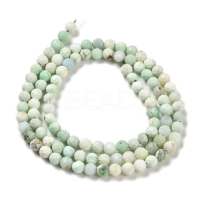Natural Green Opal Beads Strands G-Z035-A02-03C-1