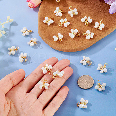 20Pcs Glass Pendants PALLOY-TAC0214-1