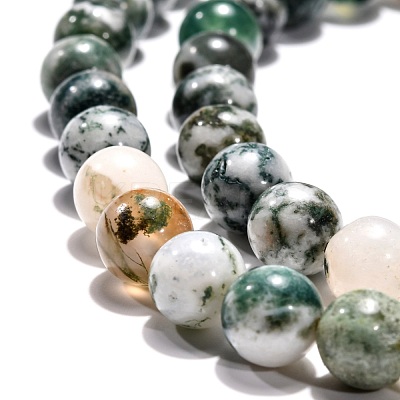 Natural Tree Agate Beads Strands X-G-H1633-8MM-1