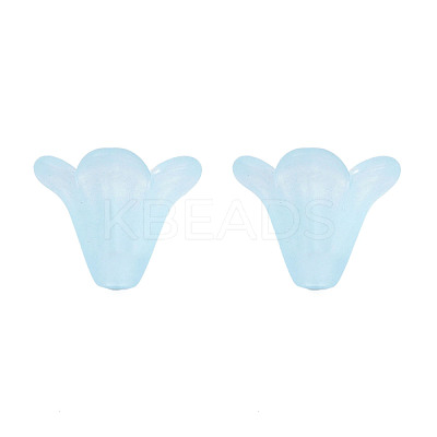 Frosted Acrylic Beads PL692-10-1