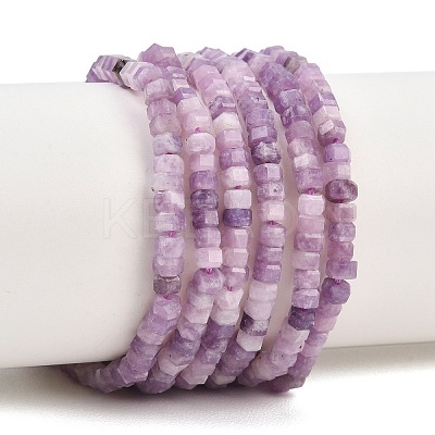 Natural Lepidolite/Purple Mica Stone Beads Strands G-G345-C18-2x4mm-1