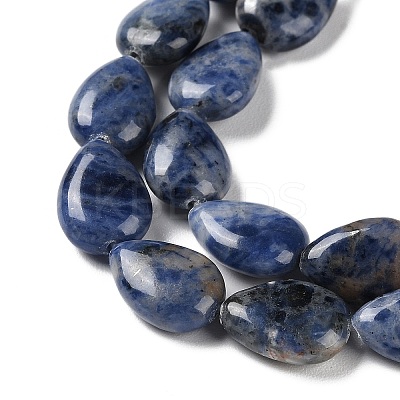 Natural Sodalite Beads Strands G-K357-A01-01-1