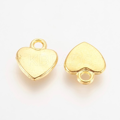 Tibetan Style Alloy Charms K08QL012-1