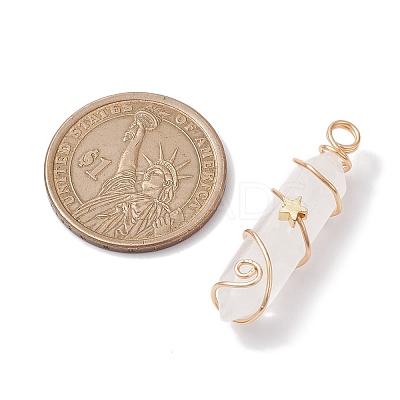 Natural Quartz Crystal Double Terminal Pointed Pendants PALLOY-JF02672-05-1