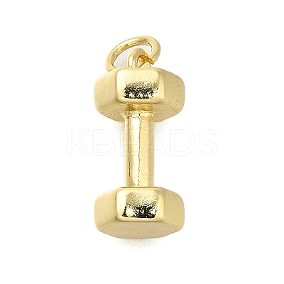 Brass Pendants KK-V002-13G-1