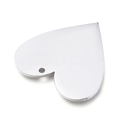 Tarnish Resistant 304 Stainless Steel Pendants LS-STAS-L238-098B-P-1