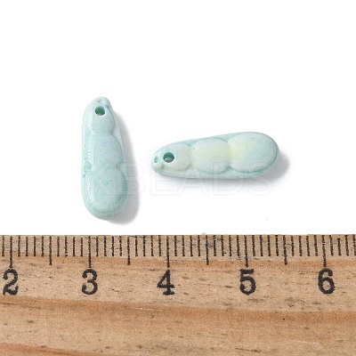 Natural Rainbow Alashan Agate Charms G-G194-05-1