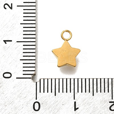 304 Stainless Steel Pave Cubic Zirconia Charms STAS-D310-07G-03-1
