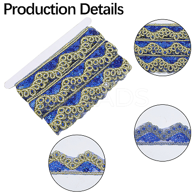 Sparkle Polyester Lace Ribbon SRIB-WH20020-049A-1