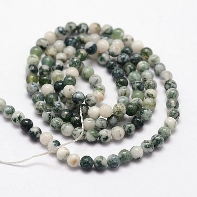 Natural Tree Agate Beads Strands G-N0192-01-3mm-1