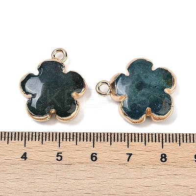 Natural Indian Agate Pendants G-P566-01G-12-1