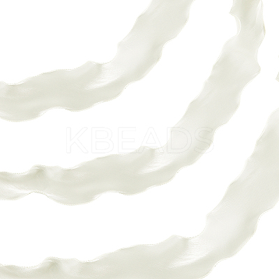 10M Polyester Ribbon OCOR-CY0002-18B-1