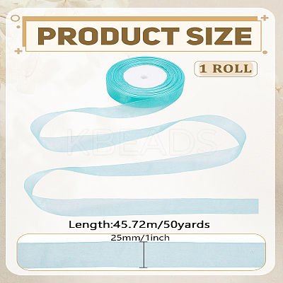 1 Roll Sheer Organza Ribbon OCOR-LP0001-73D-1